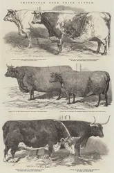 Smithfield Club Preisrinder